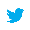 twitter-bird-blue-on-white