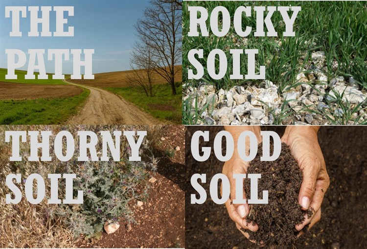 Types of Soil